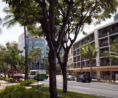 20120408_5.jpg